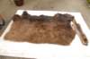 buffalhide_small.jpg