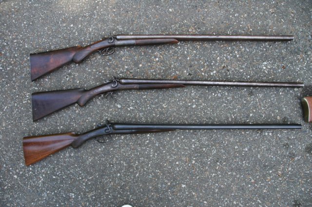 guageshotguns.jpg