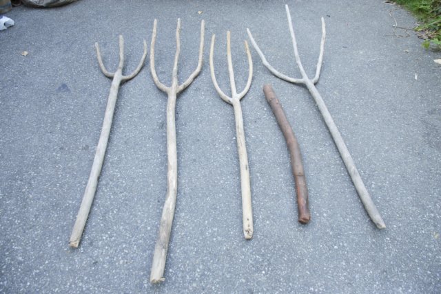woodpitchforks.jpg