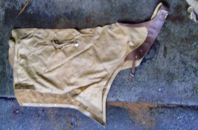 chaps2.jpg