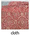 cloth